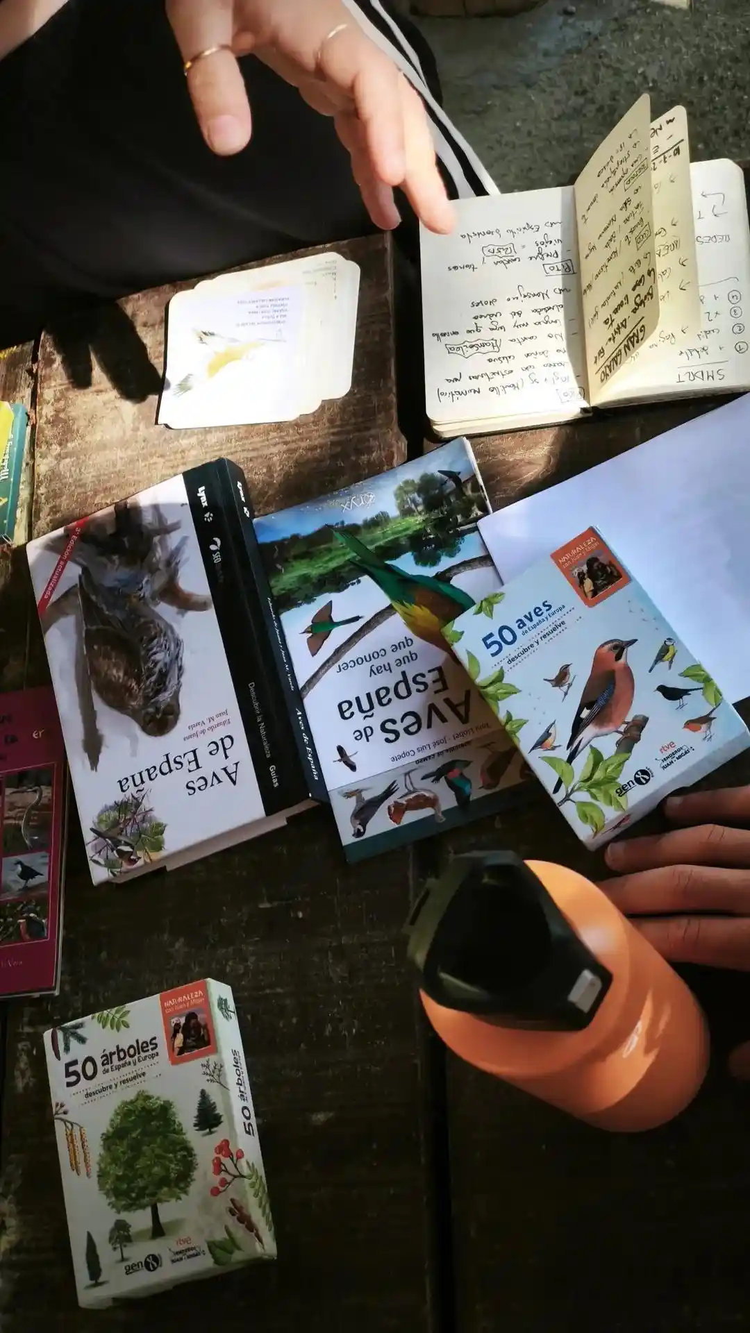 Arte y Biología: Un puente entre la ciencia y la expresión